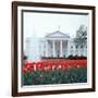 The White House-null-Framed Photographic Print