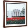 The White House-null-Framed Photographic Print