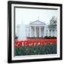 The White House-null-Framed Photographic Print