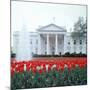 The White House-null-Mounted Photographic Print