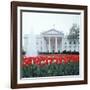 The White House-null-Framed Photographic Print