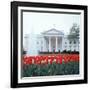 The White House-null-Framed Photographic Print