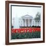 The White House-null-Framed Photographic Print