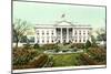 The White House-null-Mounted Art Print