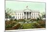 The White House-null-Mounted Art Print