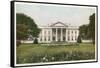 The White House-null-Framed Stretched Canvas