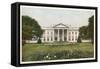 The White House-null-Framed Stretched Canvas