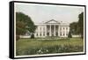 The White House-null-Framed Stretched Canvas