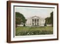 Brown Frame