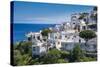 The White Houses of the Town of Lindos, Rhodes, Dodecanese Islands, Greek Islands, Greece, Europe-Michael Runkel-Stretched Canvas