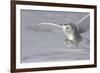 The White Hunter-Mircea Costina-Framed Giclee Print