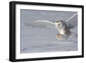 The White Hunter-Mircea Costina-Framed Photographic Print