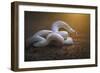 The White Legend-Shikhei Goh-Framed Giclee Print