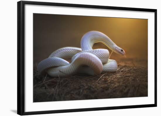 The White Legend-Shikhei Goh-Framed Giclee Print