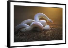 The White Legend-Shikhei Goh-Framed Giclee Print