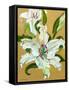 The white lilies-Joan Thewsey-Framed Stretched Canvas
