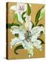 The white lilies-Joan Thewsey-Stretched Canvas