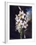 The White Lily with Variegated Leaves-null-Framed Art Print