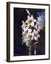 The White Lily with Variegated Leaves-null-Framed Art Print