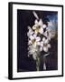 The White Lily with Variegated Leaves-null-Framed Art Print