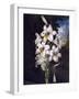 The White Lily with Variegated Leaves-null-Framed Art Print