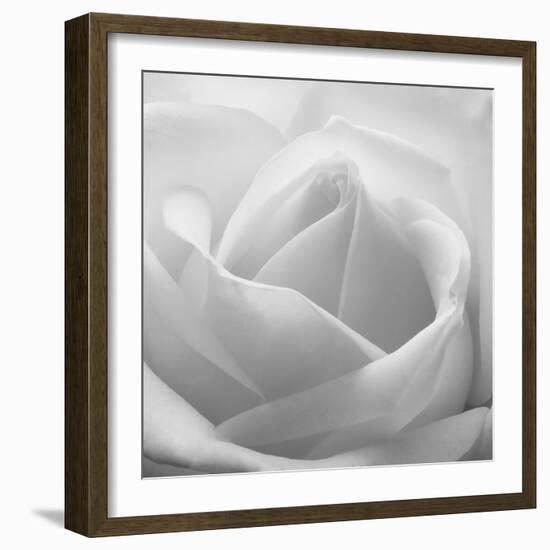 The White Maze, 2007-Hiroyuki Arakawa-Framed Photographic Print