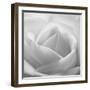 The White Maze, 2007-Hiroyuki Arakawa-Framed Photographic Print