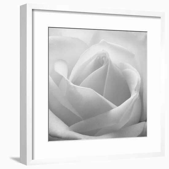 The White Maze, 2007-Hiroyuki Arakawa-Framed Photographic Print