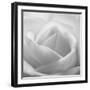 The White Maze, 2007-Hiroyuki Arakawa-Framed Photographic Print