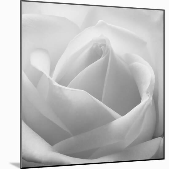 The White Maze, 2007-Hiroyuki Arakawa-Mounted Photographic Print