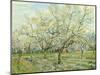 The White Orchard, 1888-Vincent van Gogh-Mounted Giclee Print