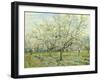 The White Orchard, 1888-Vincent van Gogh-Framed Giclee Print