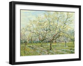 The White Orchard, 1888-Vincent van Gogh-Framed Giclee Print