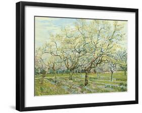 The White Orchard, 1888-Vincent van Gogh-Framed Giclee Print