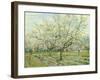 The White Orchard, 1888-Vincent van Gogh-Framed Giclee Print