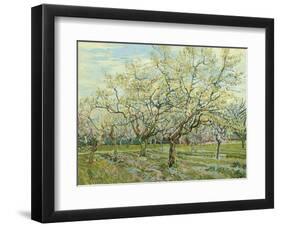 The White Orchard, 1888-Vincent van Gogh-Framed Art Print