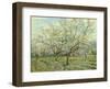 The White Orchard, 1888-Vincent van Gogh-Framed Art Print