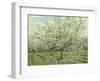 The White Orchard, 1888-Vincent van Gogh-Framed Art Print