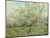 The White Orchard, 1888-Vincent van Gogh-Mounted Art Print