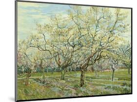 The White Orchard, 1888-Vincent van Gogh-Mounted Art Print