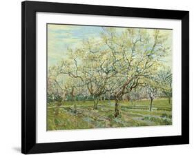 The White Orchard, 1888-Vincent van Gogh-Framed Art Print