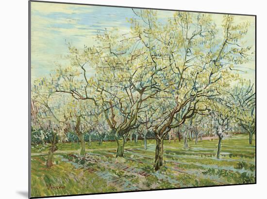 The White Orchard, 1888-Vincent van Gogh-Mounted Art Print