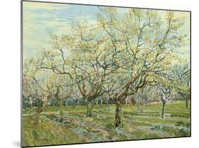 The White Orchard, 1888-Vincent van Gogh-Mounted Art Print