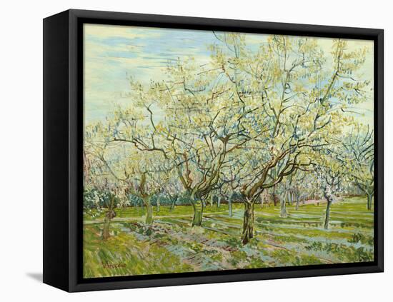 The White Orchard, 1888-Vincent van Gogh-Framed Stretched Canvas