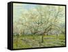 The White Orchard, 1888-Vincent van Gogh-Framed Stretched Canvas