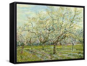 The White Orchard, 1888-Vincent van Gogh-Framed Stretched Canvas