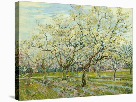 The White Orchard, 1888-Vincent van Gogh-Stretched Canvas