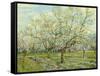 The White Orchard, 1888-Vincent van Gogh-Framed Stretched Canvas