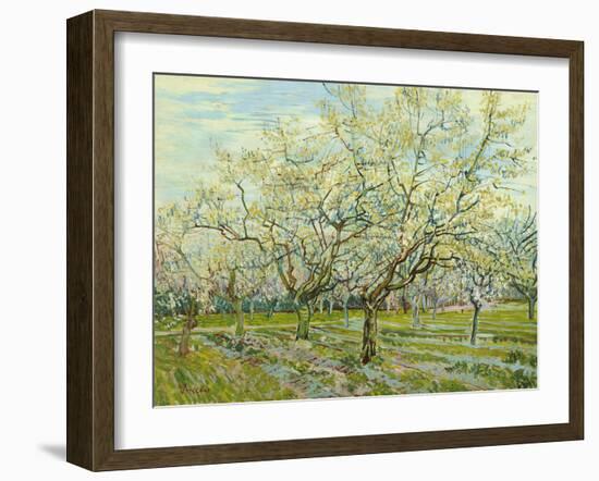 The White Orchard, 1888-Vincent van Gogh-Framed Giclee Print