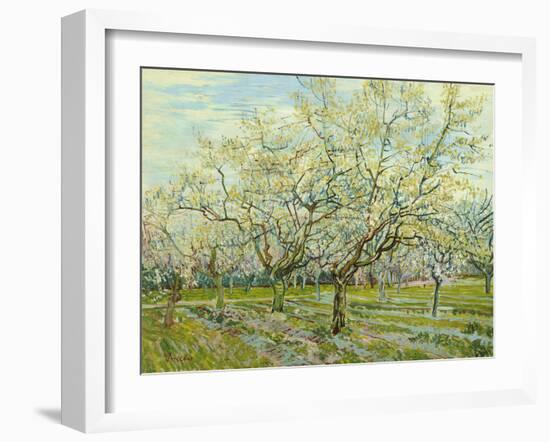 The White Orchard, 1888-Vincent van Gogh-Framed Giclee Print